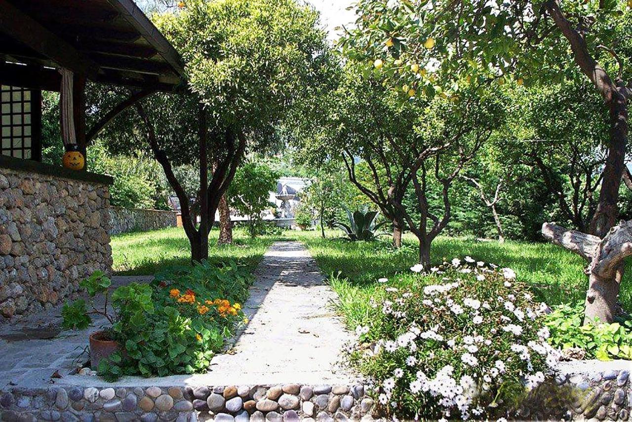 Bed and Breakfast La Tana Del Tasso Вентімілья Екстер'єр фото
